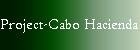 Development Services in Los Cabos